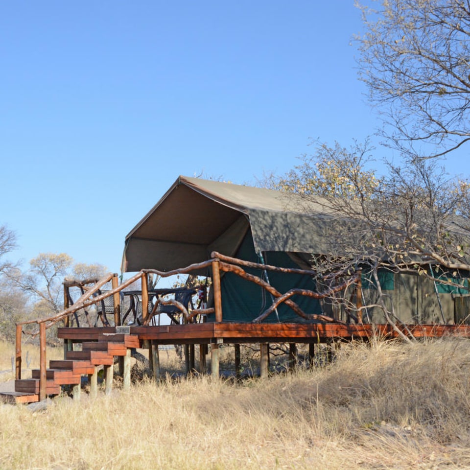 Camp Savuti